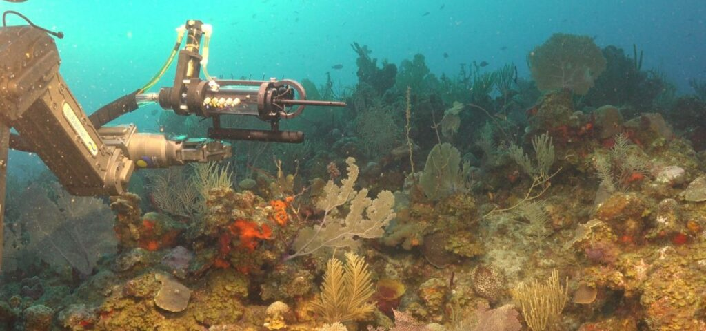 Conicet empieza hoy su exploración del fondo marino frente a Chubut