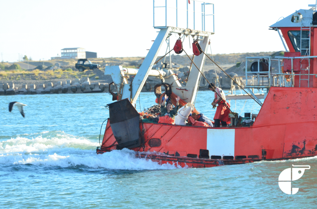 El SOMU para toda la flota de artesanal en rechazo al reemplazo de un marinero por un maquinista