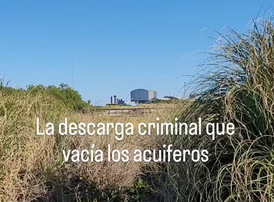 Grave denuncia de marino mercante por contaminación de harinera en Mar del Plata