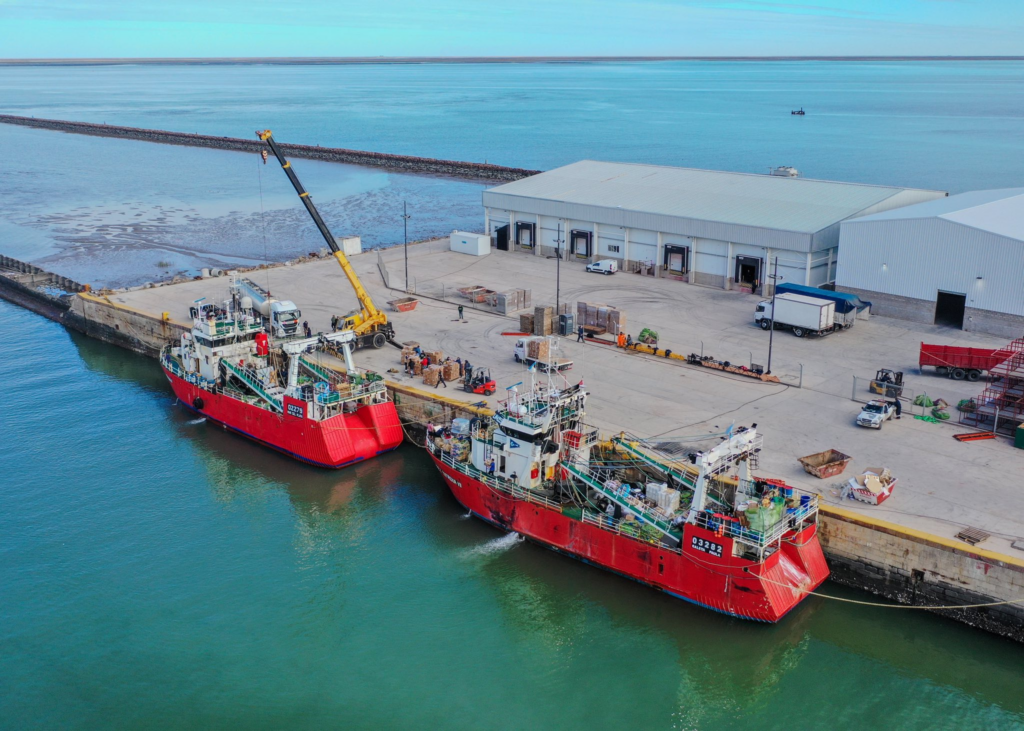 Conarpesa inauguró sus cámaras frigoríficas en Puerto Rosales con la primera descarga de 140 toneladas de langostino