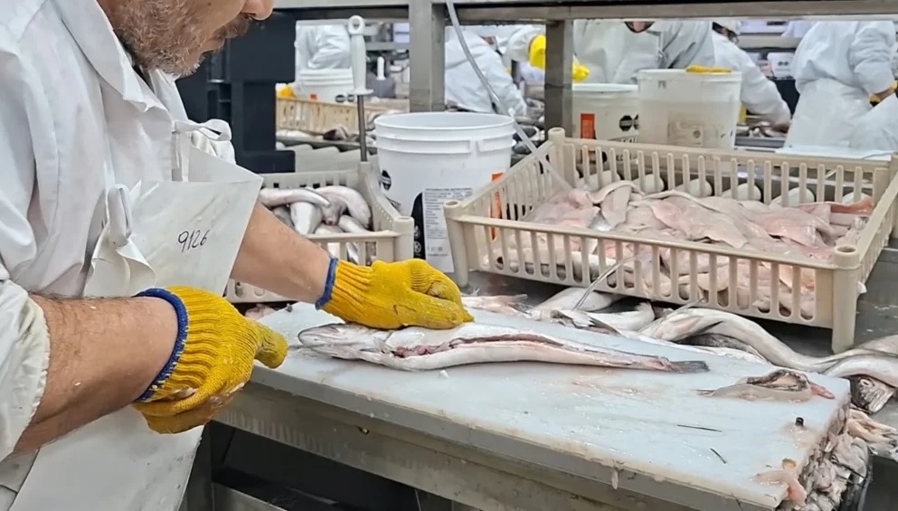 «La gente que arrancó a filetear no sabe absolutamente nada»